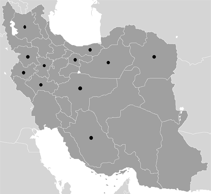 Mesostemma kotschyanum - Caryophyllaceae